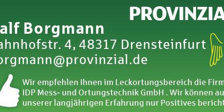 Internetbanner Borgmann_idp